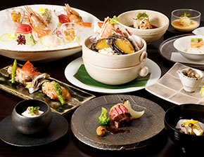Premium Japanese Course - saiunzen