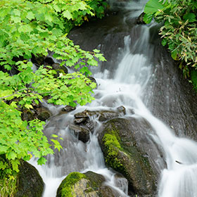 Upon being welcomed by a small stream, your peaceful and comforting time here will begin.