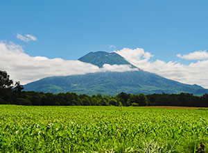 羊蹄山