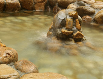 湯処 命泉の湯