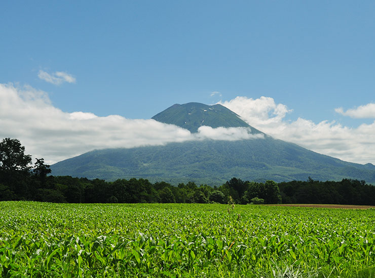 四季絕景與旅遊